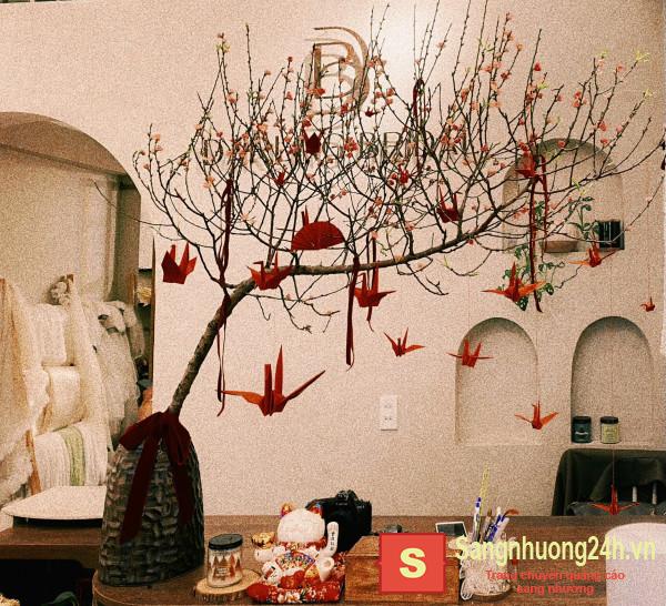 Sang nhượng cửa hàng