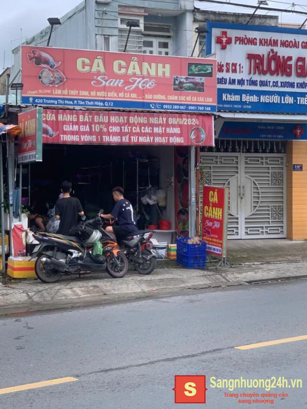 Cần Sang Nhượng Tiệm Cá Cảnh Ở Quận 12
