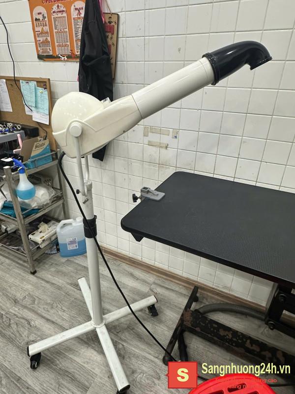 Sang cửa hàng thú nuôi